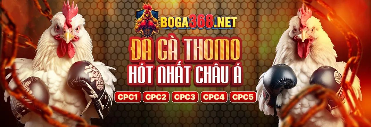 Sòng bạc TD88 Login sang trọng và hiện đại